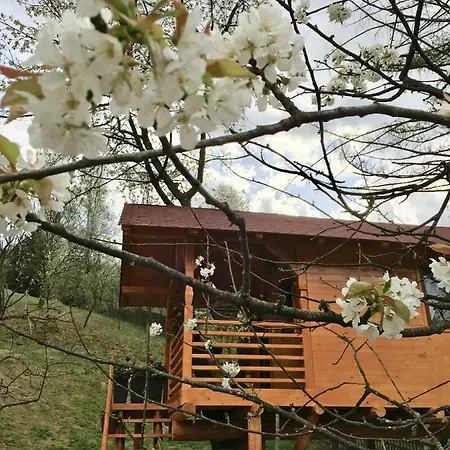 Villa Domeniul Horj Casa Din Cires Moisei Extérieur photo