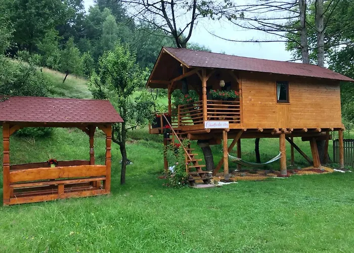 Domeniul Horj Casa Din Cires Moisei