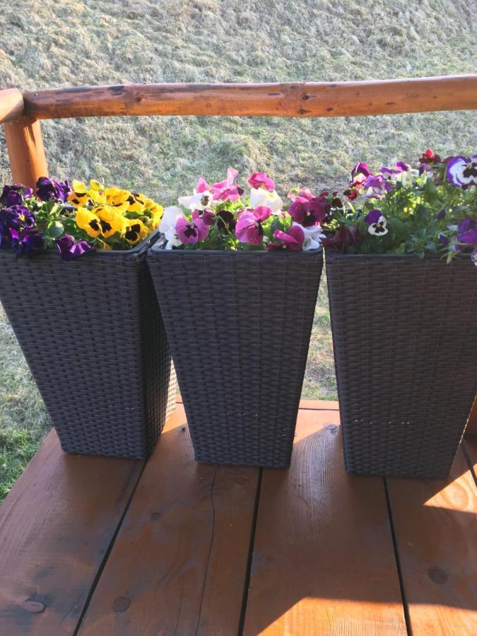Domeniul Horj Casa Din Cires * Moisei