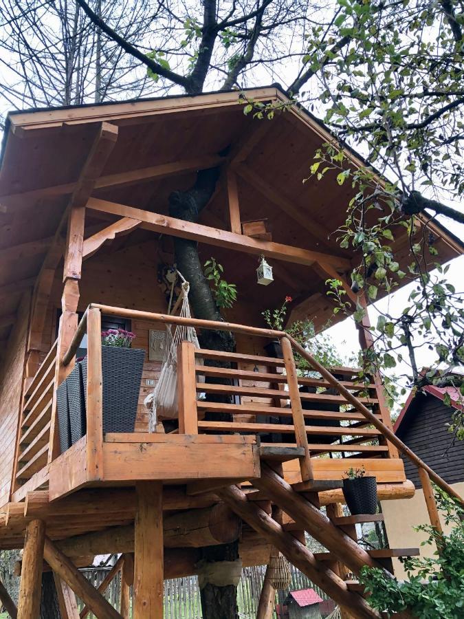 Domeniul Horj Casa Din Cires Hébergement de vacances Moisei