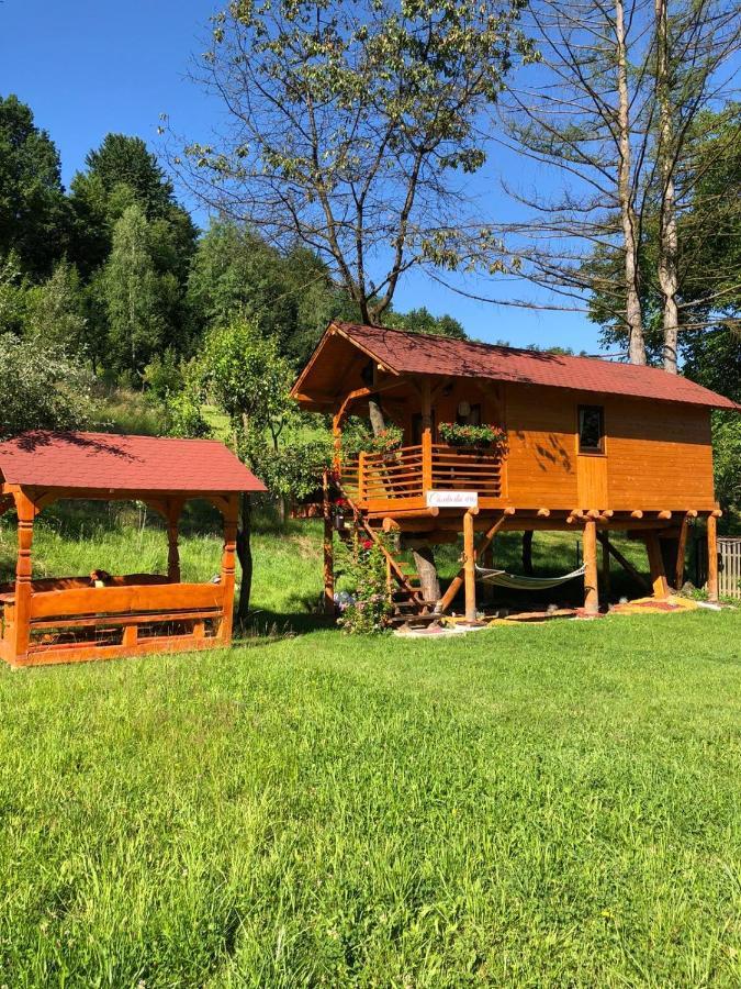 Domeniul Horj Casa Din Cires Hébergement de vacances
