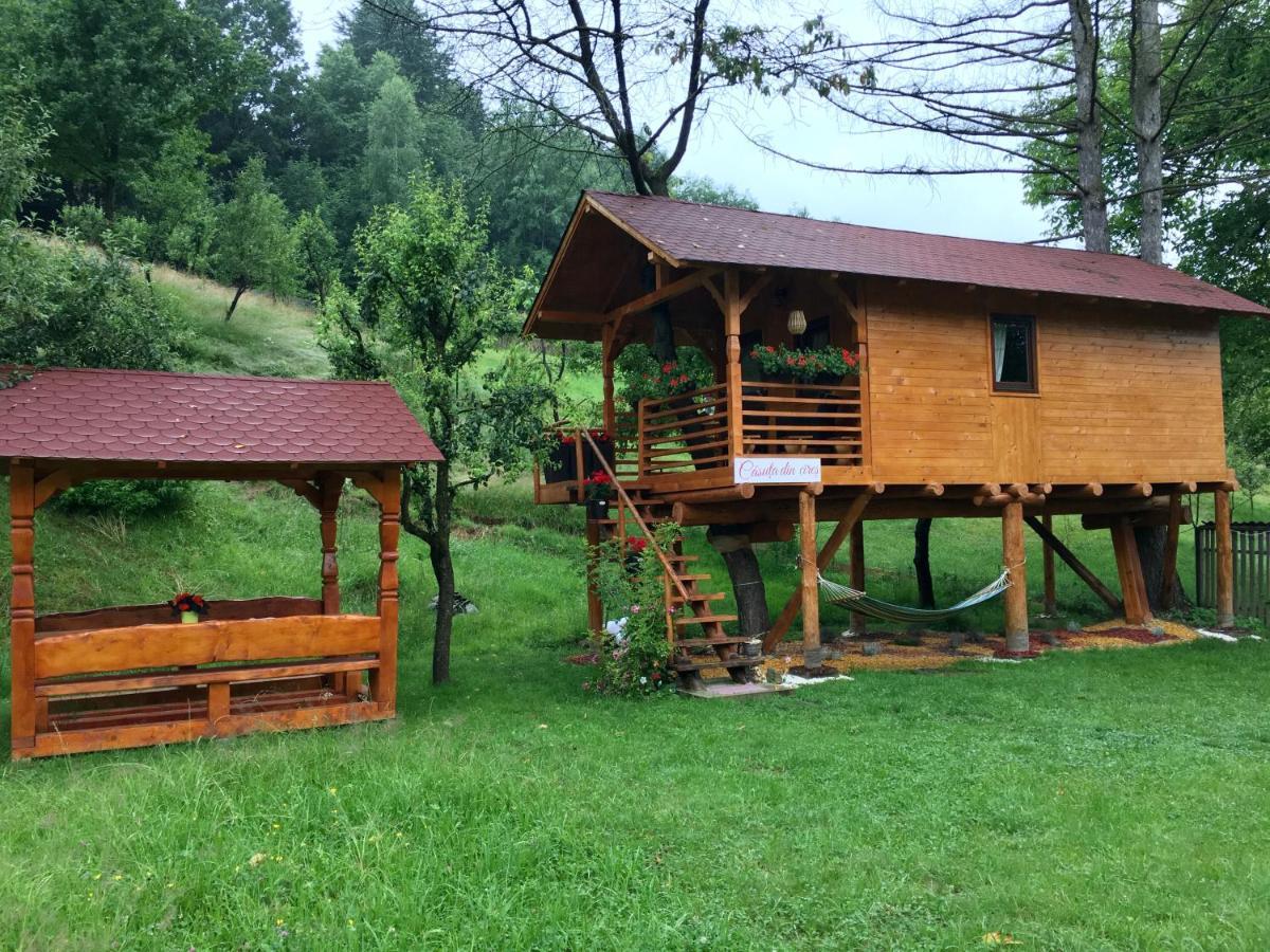 Domeniul Horj Casa Din Cires Moisei