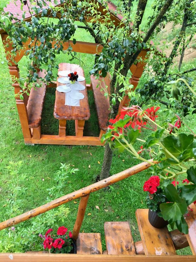 Domeniul Horj Casa Din Cires Moisei