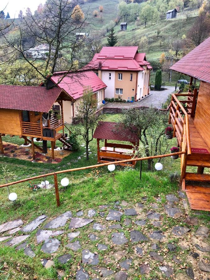 Domeniul Horj Casa Din Cires Hébergement de vacances Moisei