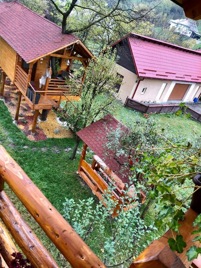 Domeniul Horj Casa Din Cires Hébergement de vacances