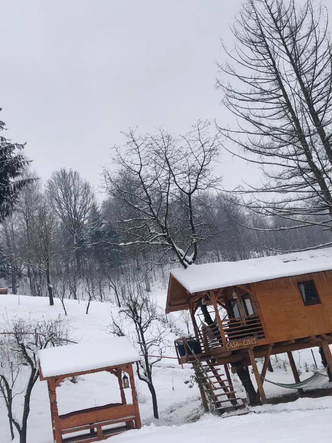 Hébergement de vacances Domeniul Horj Casa Din Cires