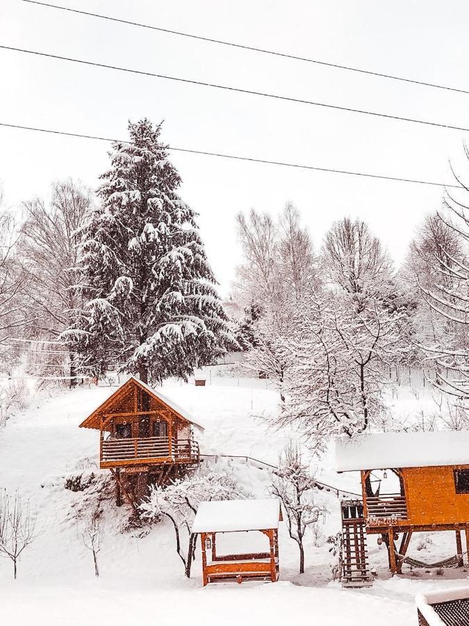 Hébergement de vacances Domeniul Horj Casa Din Cires Moisei