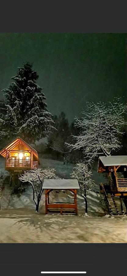 Domeniul Horj Casa Din Cires Hébergement de vacances *