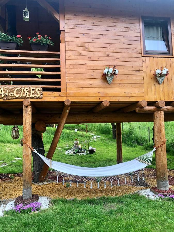 Domeniul Horj Casa Din Cires Moisei