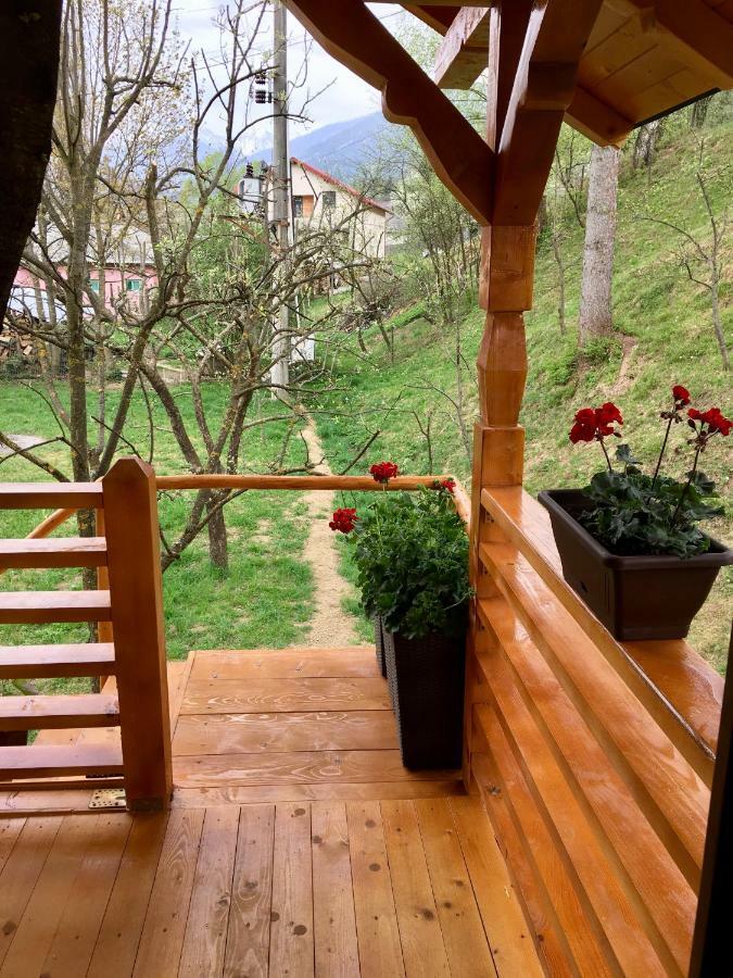 Hébergement de vacances Domeniul Horj Casa Din Cires