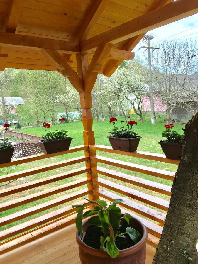 Domeniul Horj Casa Din Cires Hébergement de vacances Moisei