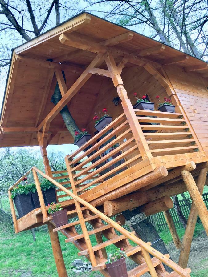 Domeniul Horj Casa Din Cires Hébergement de vacances *