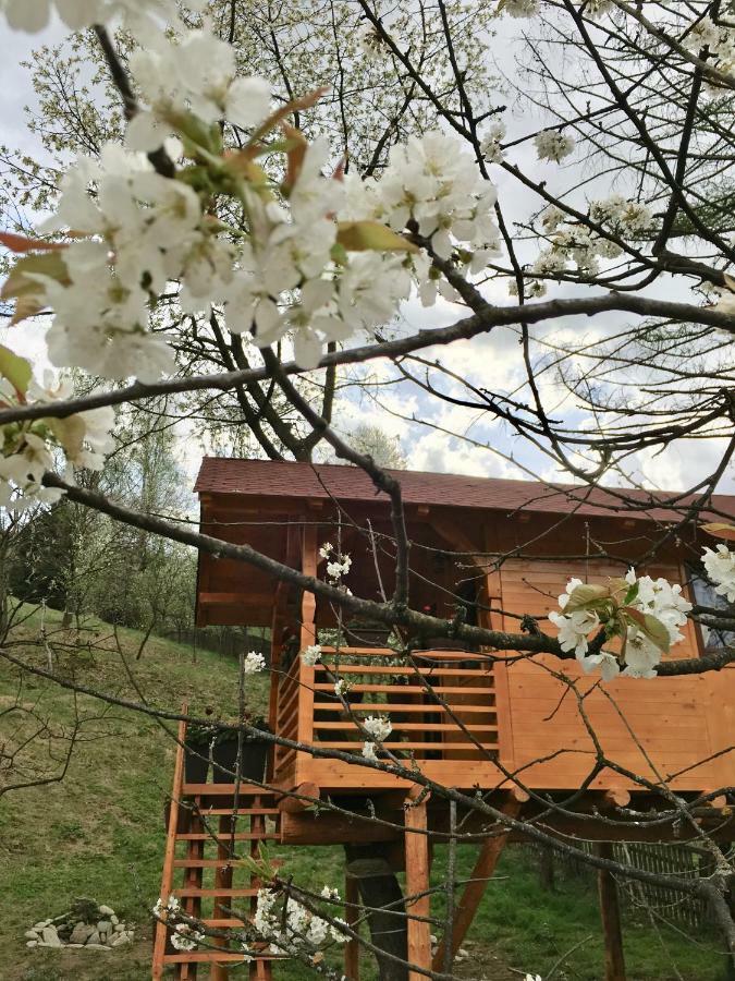 Domeniul Horj Casa Din Cires Hébergement de vacances *