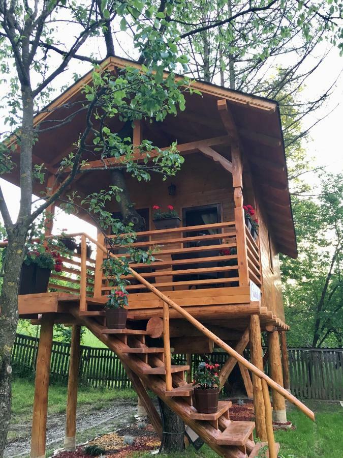 Hébergement de vacances Domeniul Horj Casa Din Cires